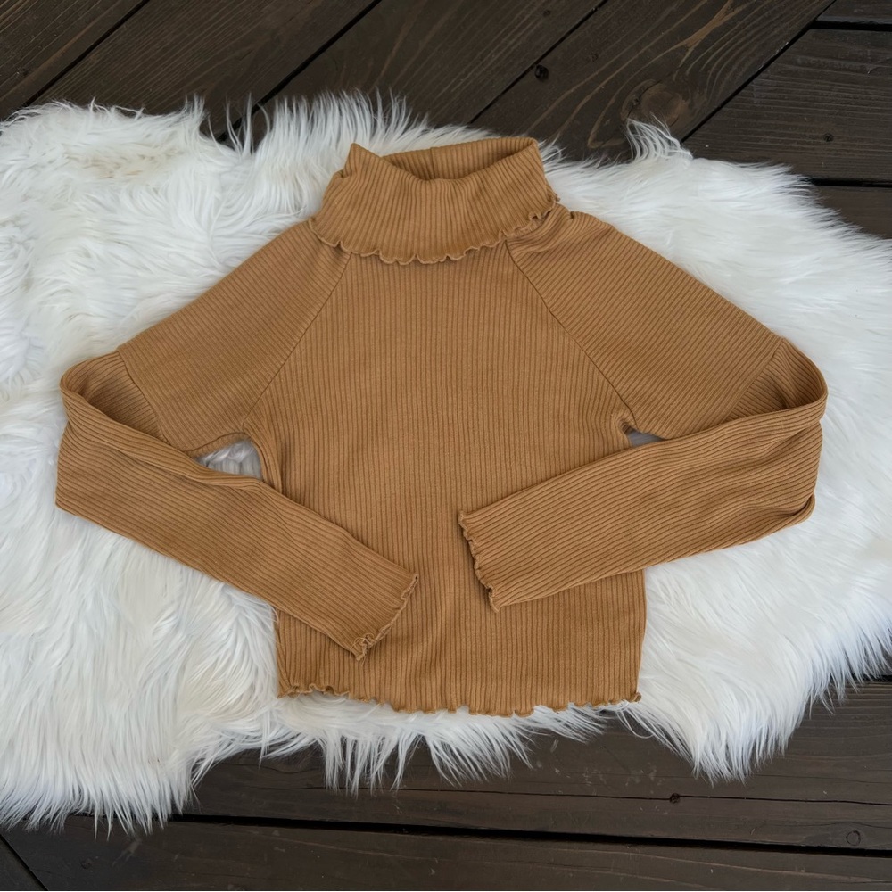 Camel Long Sleeve Crop Top Turtleneck